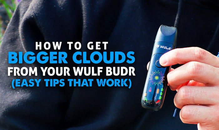 So bekommen Sie größere Dampfwolken von Ihrem Wulf Budr Vaporizer (einfache Tipps, die funktionieren)