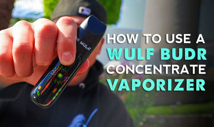 Wulf Budr Konzentrat-Vaporizer benutzen