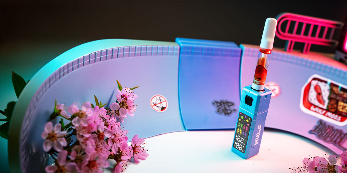 Wulf Grid in arena with spring flowers on the sides